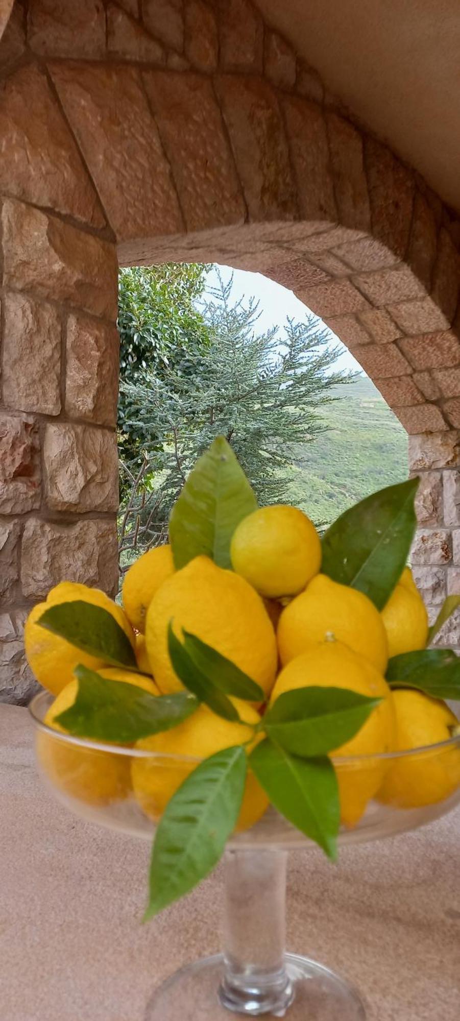 Villa Verde Cefalù Exteriör bild